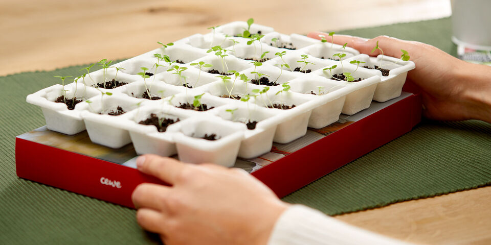 Our new sustainable Advent Calendar