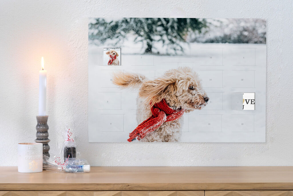 A dog with a red scarf runs quickly in the snow, surrounded by festive decorations