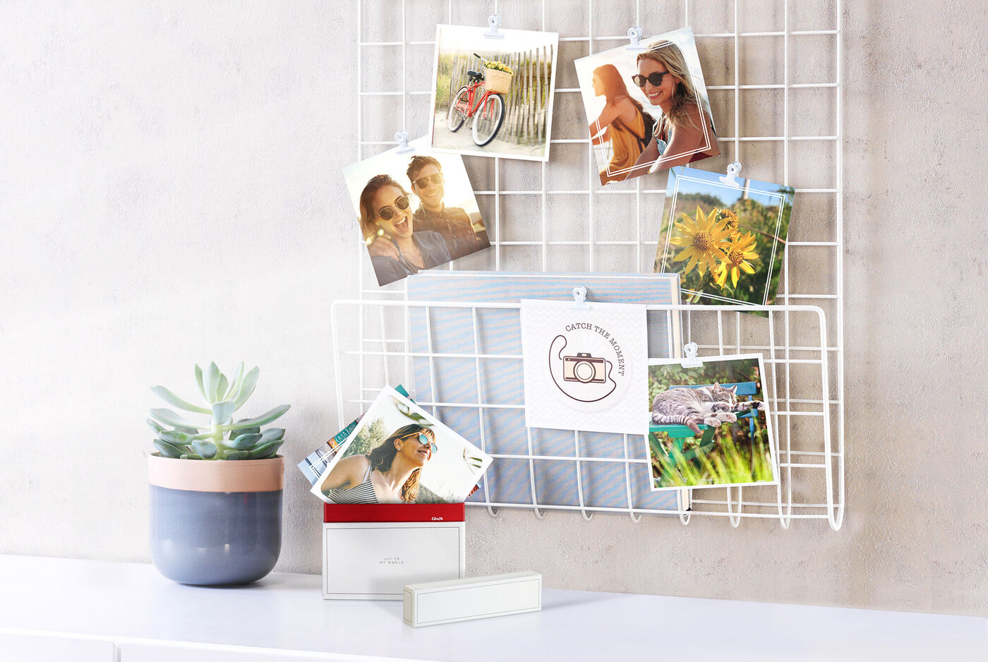 A creative arrangement of photo prints on a white grid. A potted plant is alongside, and a CEWE photo calendar is in the foreground. The pictures show memories and special moments.