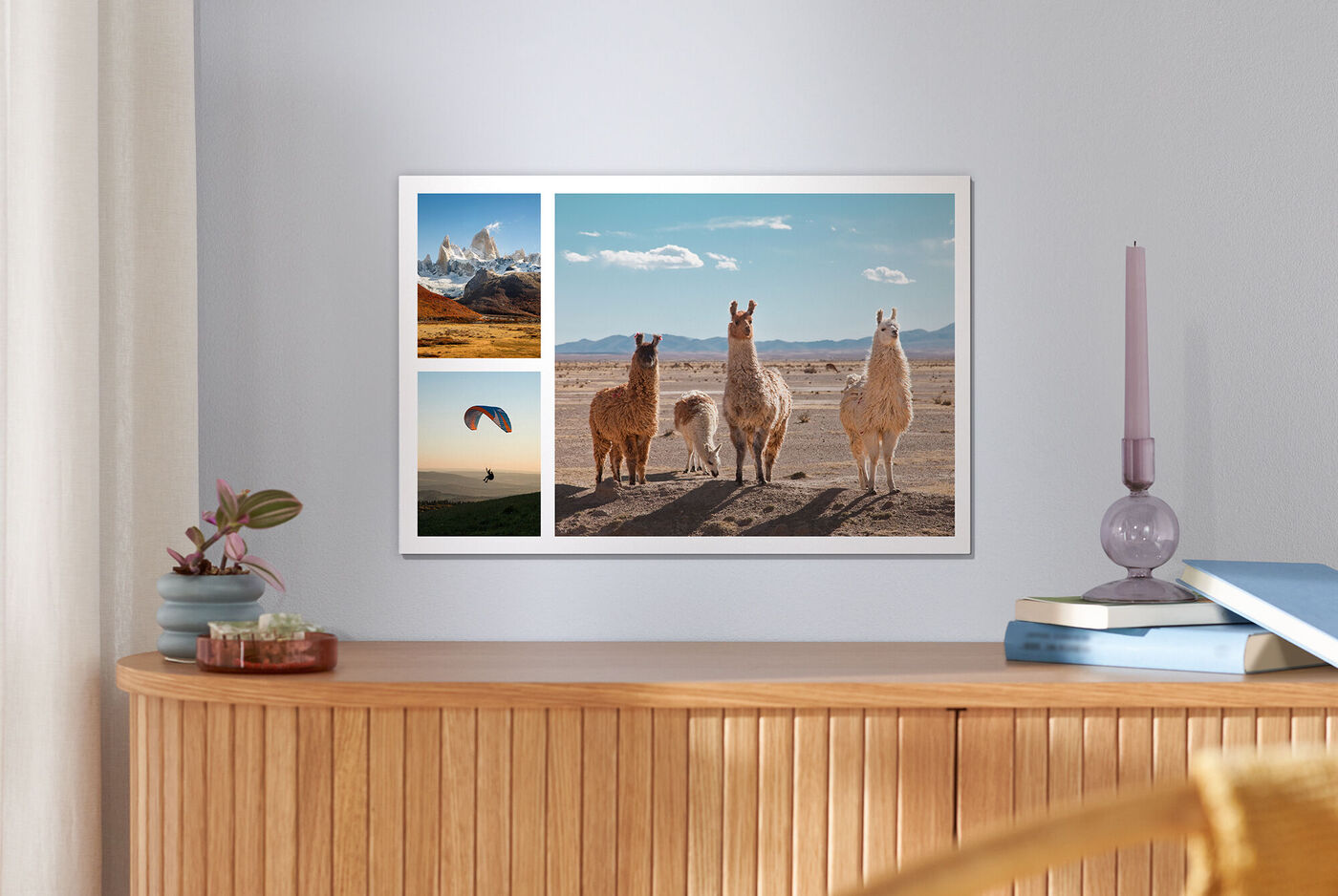 A stylish wall picture with four images of alpacas and mountain landscape.